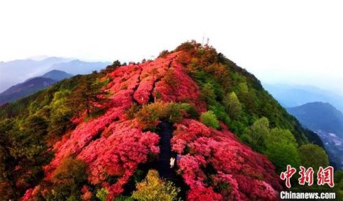 湖北省麻城市(湖北省麻城市属于哪个市)-第2张图片-