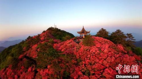 湖北省麻城市(湖北省麻城市属于哪个市)-第1张图片-