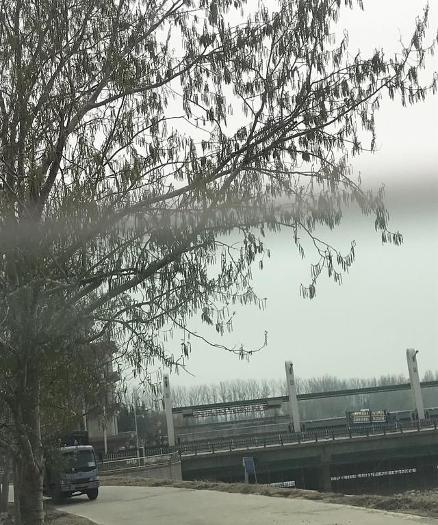 蝙蝠入屋是不吉利的，蝙蝠住在我家屋檐下，会不会给家人健康带来隐患？图3