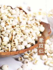 ​薏苡仁怎么吃（薏苡仁吃的方法）