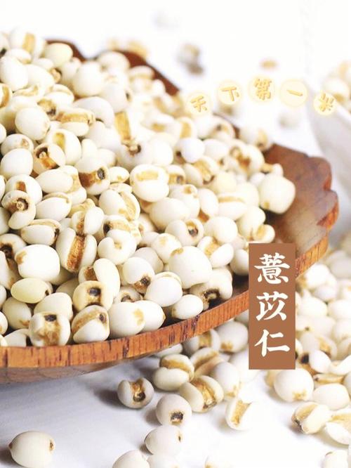 薏苡仁怎么吃（薏苡仁吃的方法）