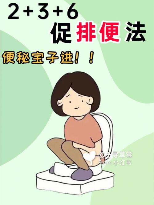 便秘怎么办快速排便（五招教你快速排便）