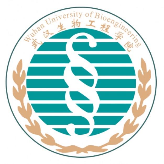 十大武汉十大三本大学排名 武汉的三本院校排名  3