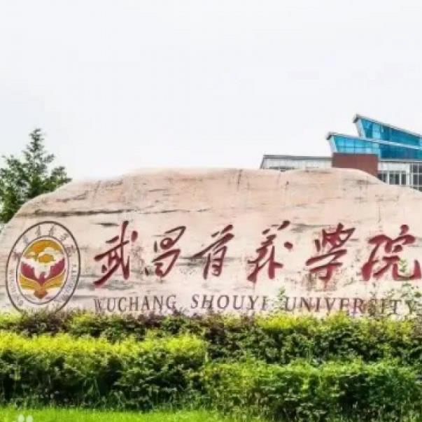 十大武汉十大三本大学排名 武汉的三本院校排名  10