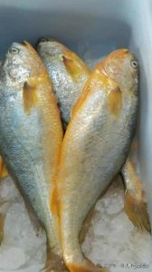 ​中国十大海鲜排行榜：有你爱吃的吗？