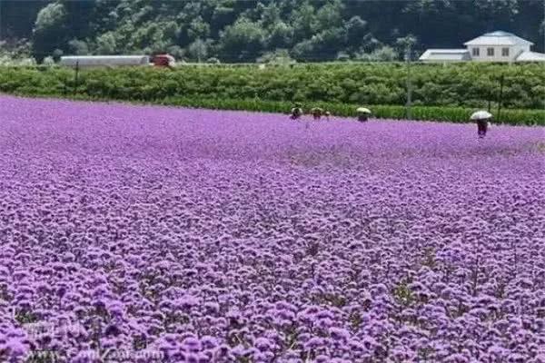 抚顺最好玩的地方推荐