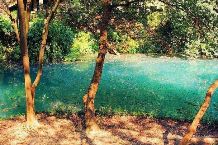 寻找浙江最美大学，何处才是你心中的象牙塔？