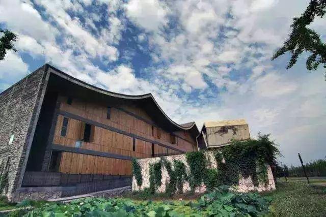 寻找浙江最美大学，何处才是你心中的象牙塔？