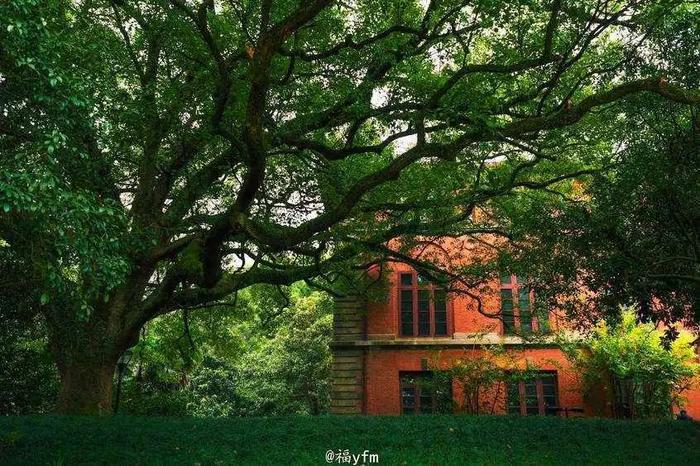 寻找浙江最美大学，何处才是你心中的象牙塔？
