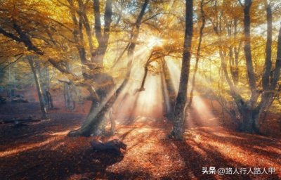 ​出门去踏秋的文案