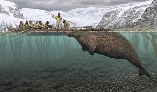 深海里的美人鱼长什么样子（传说中的美人鱼）(8)