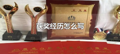 ​获奖经历怎么写（主要获奖经历怎么写）