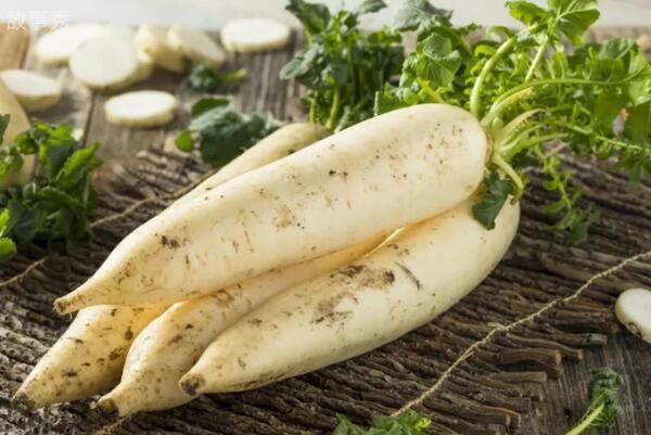 网络图片(侵删)