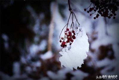​死囚枪决未死，拉到医院解剖，医生却救治起来，有问题吗