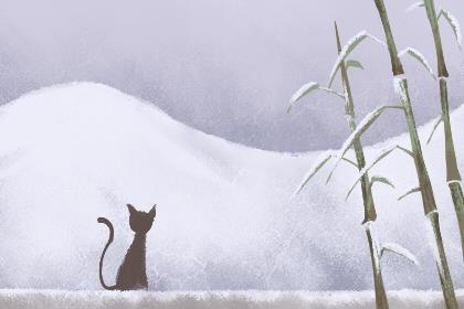 吵架了被女朋友烦死了该怎么办