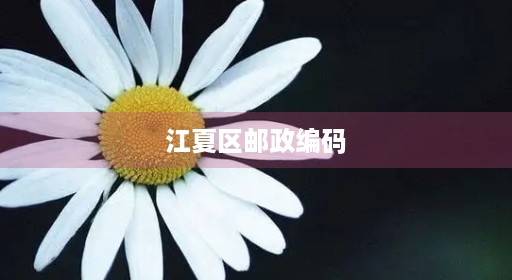 江夏区邮政编码