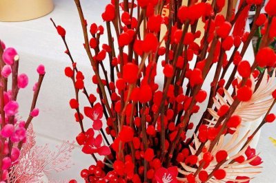 ​银柳可以插在泥土里养吗（银柳种在花盆里的方法）