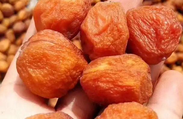 新疆水果的奇怪之处:吊在树上的杏,不烂不腐,不干不摘