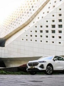 ​咖啡拿铁(咖啡拿铁玫瑰花语)