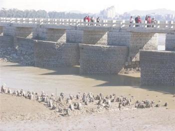 海内第一桥泉州洛阳桥（洛阳桥安平桥闽中桥梁甲天下）(3)