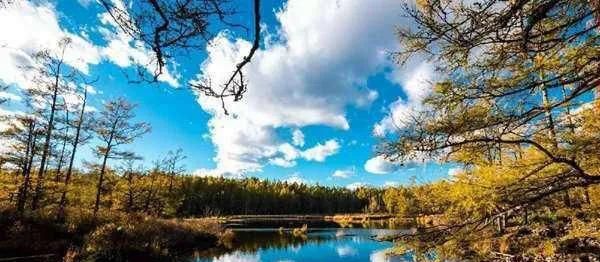 内蒙古第一大城市，内蒙古第三大城市排名？图8