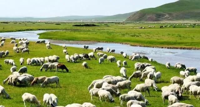 内蒙古第一大城市，内蒙古第三大城市排名？图5