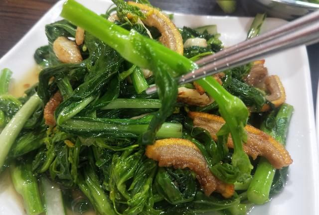 空心菜蔫了还能吃吗，黄豆芽黏了还能干什么用？图10