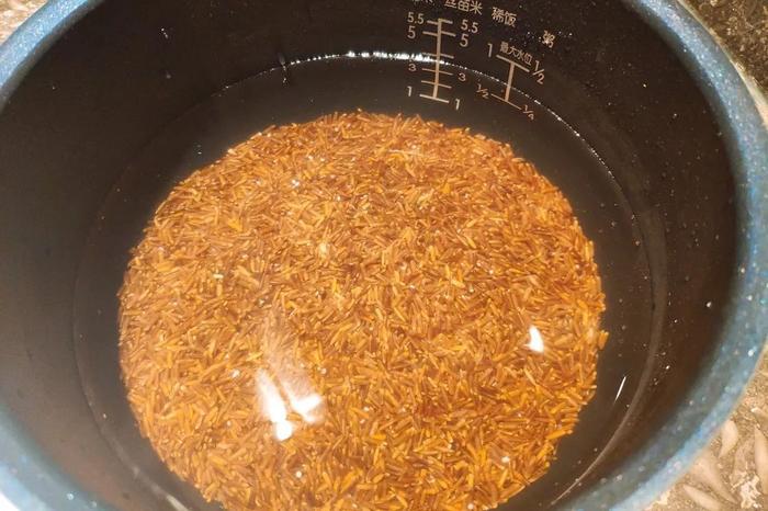 那些年深日久的努力,终有一天会开花结果!