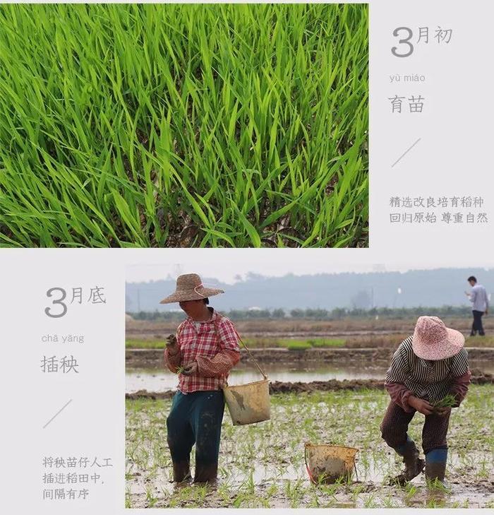 那些年深日久的努力,终有一天会开花结果!