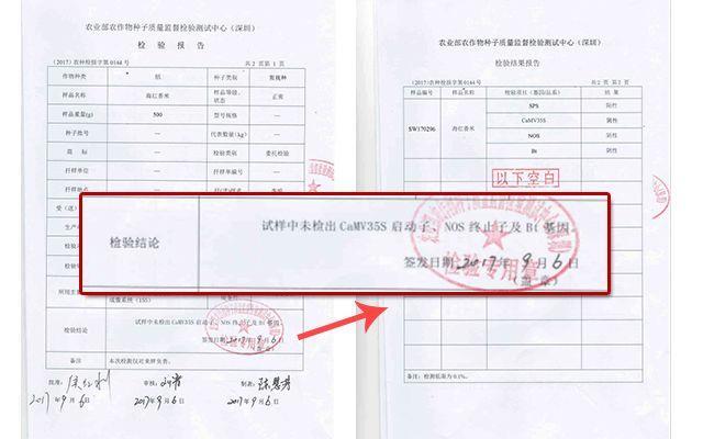 那些年深日久的努力,终有一天会开花结果!