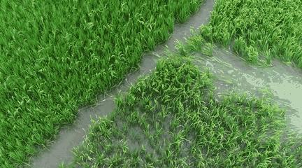 那些年深日久的努力,终有一天会开花结果!