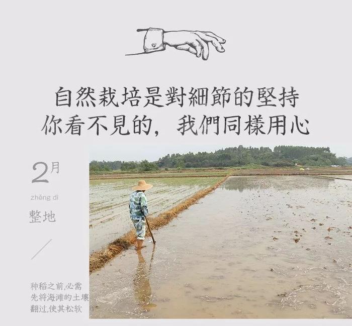 那些年深日久的努力,终有一天会开花结果!