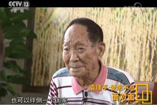 那些年深日久的努力,终有一天会开花结果!