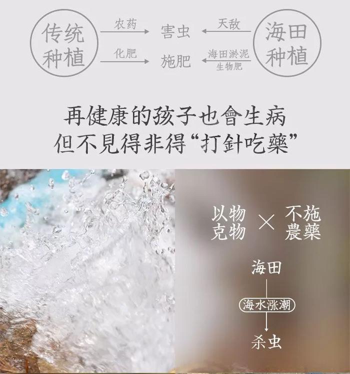 那些年深日久的努力,终有一天会开花结果!