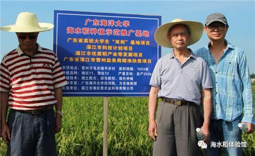 那些年深日久的努力,终有一天会开花结果!