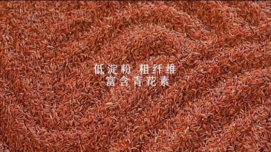 那些年深日久的努力,终有一天会开花结果!