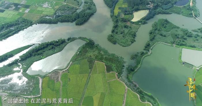 那些年深日久的努力,终有一天会开花结果!