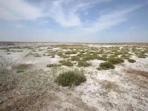 那些年深日久的努力,终有一天会开花结果!