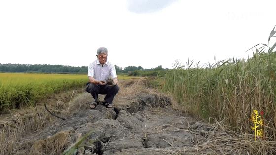 那些年深日久的努力,终有一天会开花结果!