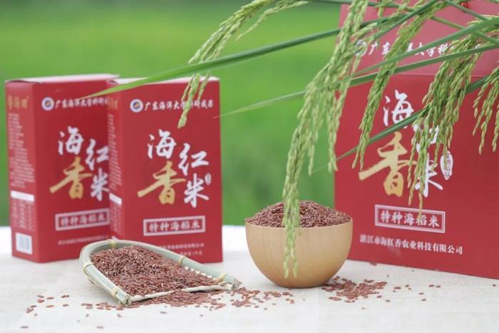 那些年深日久的努力,终有一天会开花结果!