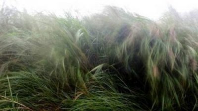 ​久晴大雾必阴_久晴大雾必阴久雨大雾必晴是什么意思