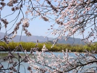 ​今天农历三月十五，你知道是什么日子吗？老祖宗的谚语怎么说