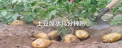 ​土豆焯水焯多长时间 土豆焯水多长时间才行