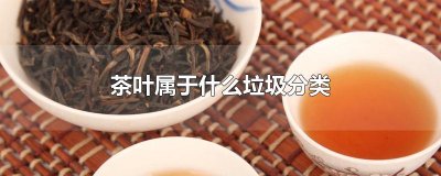 ​茶叶属于什么垃圾分类