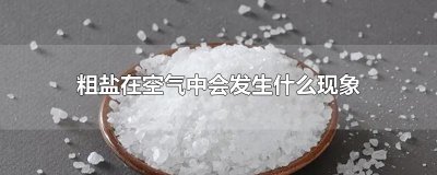 ​粗盐在空气中会发生什么现象