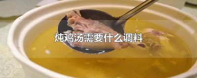 ​炖鸡汤需要什么调料