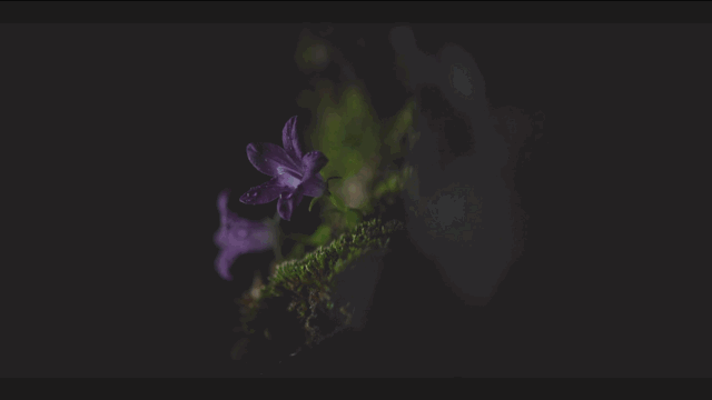 韩剧丧尸片最新推荐感人（丧尸吃人权谋宫斗）(21)