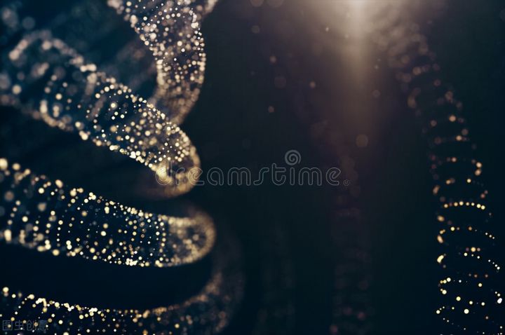 轮回乐园同类型的小说（推荐3本超好看的轻小说）