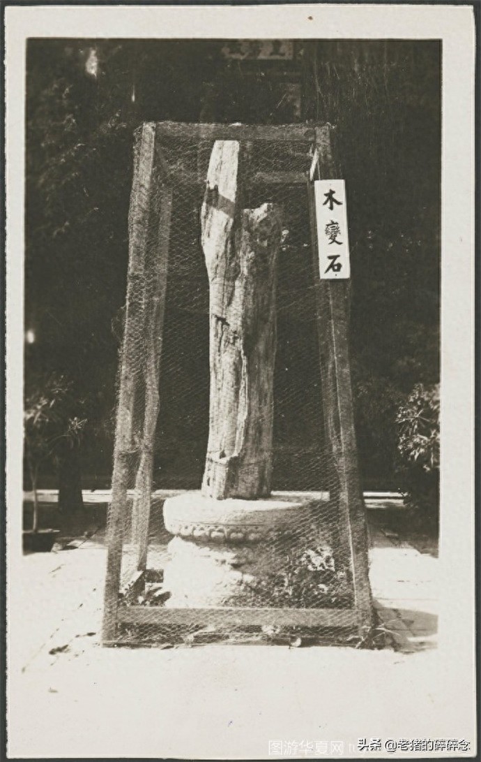 极珍贵的老照片，1935年北京照相馆拍摄的中南海