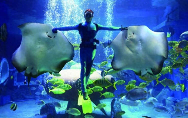 全球7大不可错过的深海游乐园，至少要带孩子去一个。